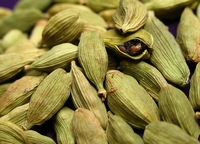 Cardamome - Elettaria cardamomum - Culinaire - Medicinal