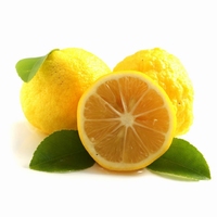 Citrus Yuzu