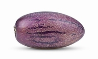 Pepino paars  Solanum muricanum  Paarse vruchten