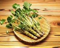 Wasabi Japonica – Kulinarische Schattenpflanze - Medizinisch