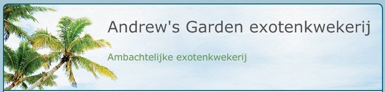 Exoten plantenkwekerij België  Andrewsgarden 